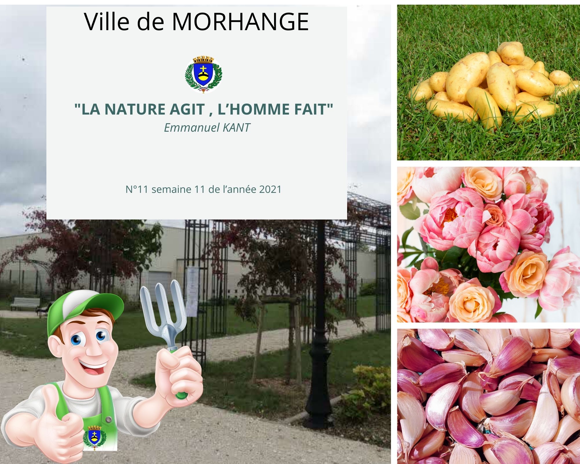 La nature agit, l'homme fait : Semaine 11